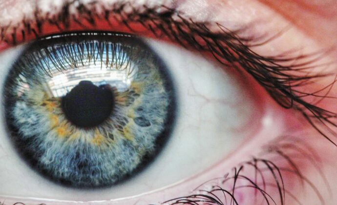 A closeup of an eyeball