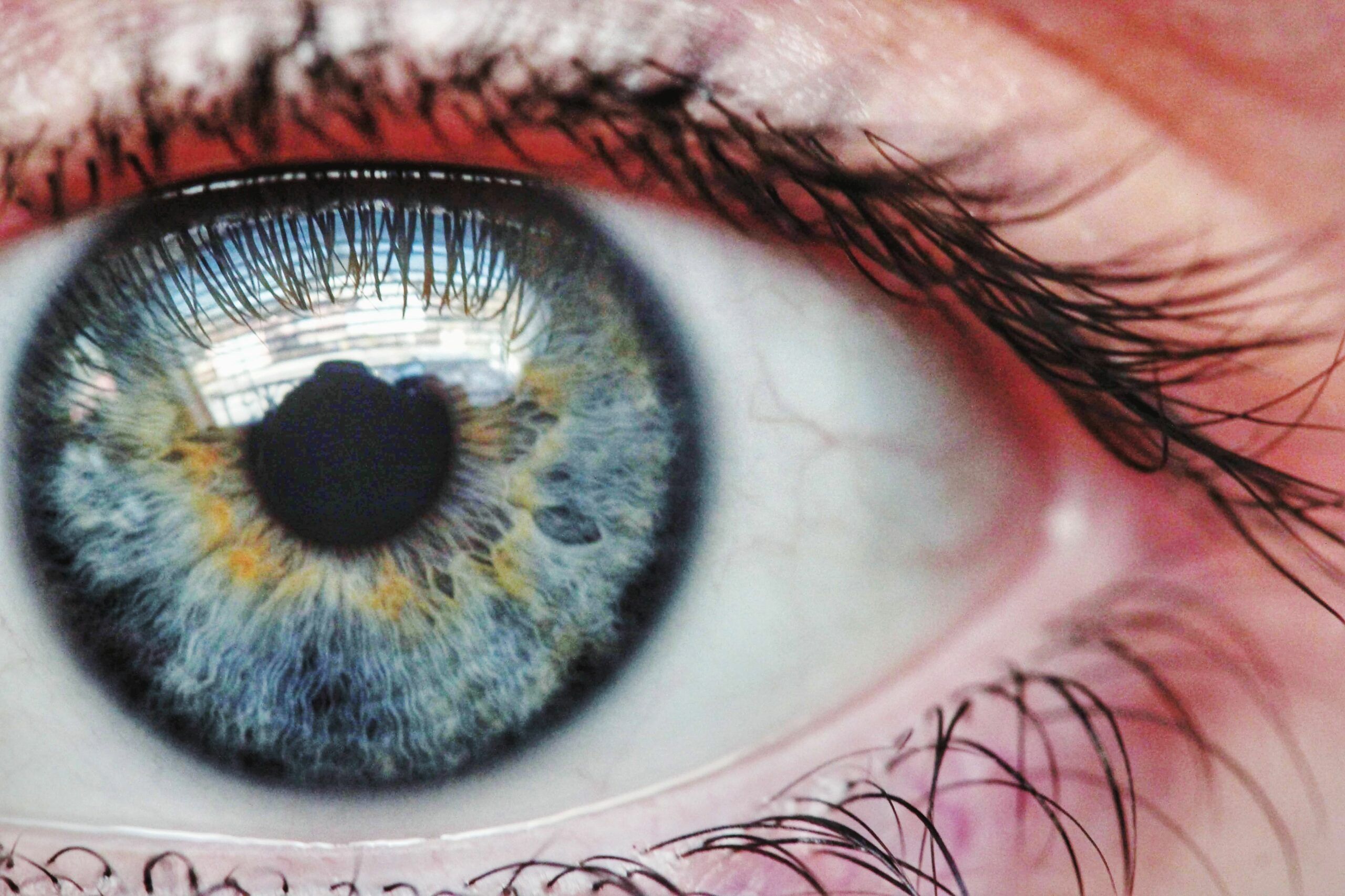 A closeup of an eyeball